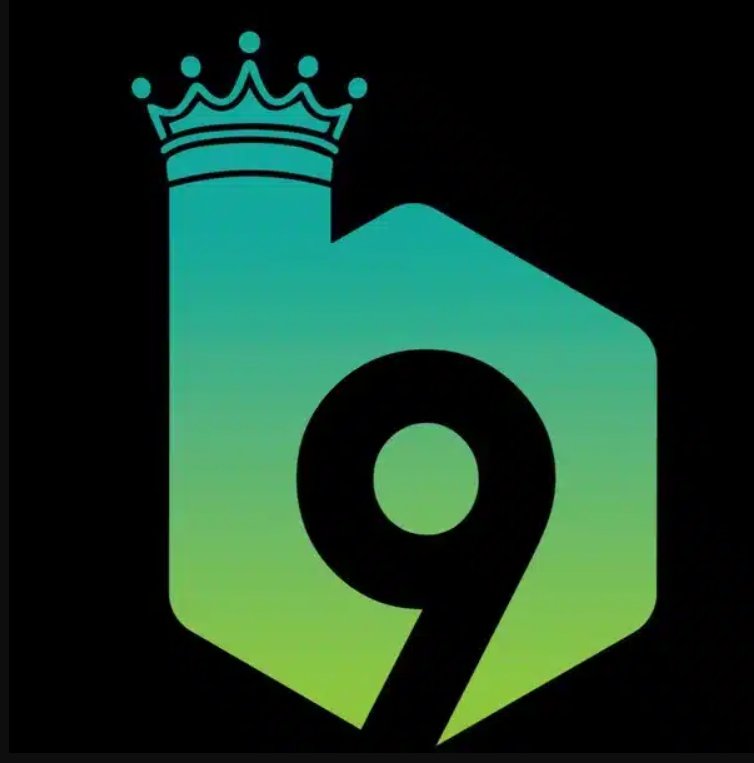 B9 Game APK