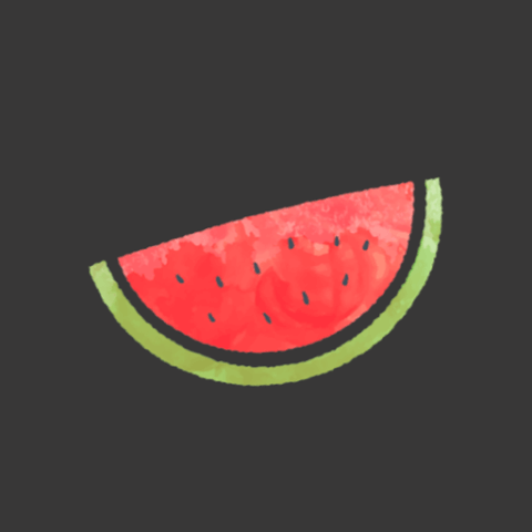 Melon VPN APK v9.0.219